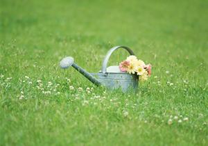 オークションの代行サービスについて