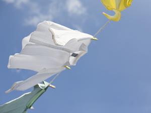 パライバトルマリン買取の真実！高価査定を実現するためのポイントとおすすめ業者ガイド