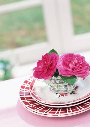 各種冊子印刷を依頼するならこちら